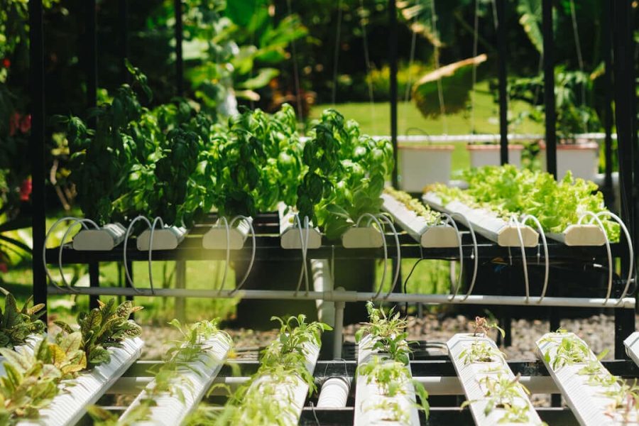 Sustainable Sourcing & Local Partnerships_ 3